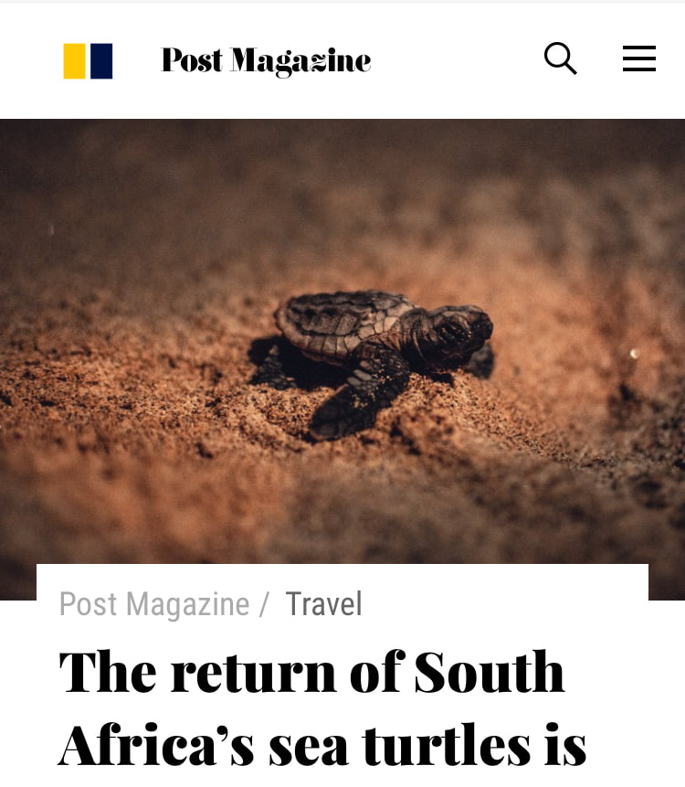 https://www.scmp.com/magazines/post-magazine/travel/article/3077039/return-south-africas-sea-turtles-conservation
